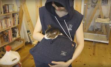 carry your cat hoodie